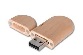 Wooden Oval Shape Pendrive Shell CSW707